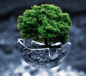 الاستثمار البيئي والاجتماعي والحوكمة (ESG) والتمويل المستدام