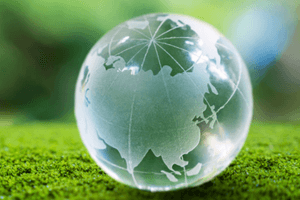 علوم البيئة، السياسة والاستدامة
