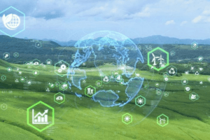 Carbon Markets Design & Implementation