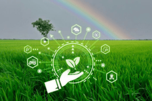 Smart Agriculture, Techniques & Technologies