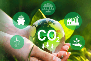 Carbon Accounting and Reporting