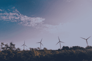 Certificate in Environmental Management 