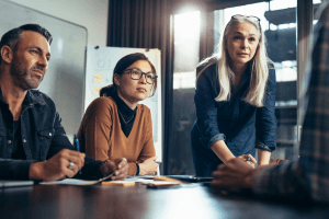 Operational & Performance Auditing training course